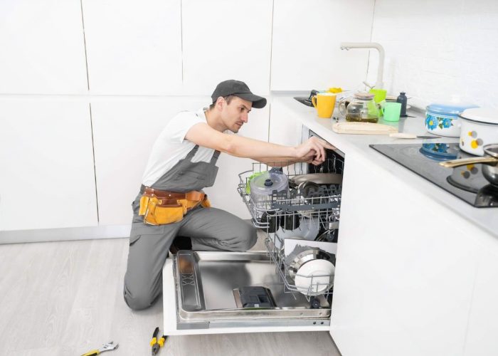 depositphotos_451396664-stock-photo-repair-of-dishwashers-the-master-transformed (1)