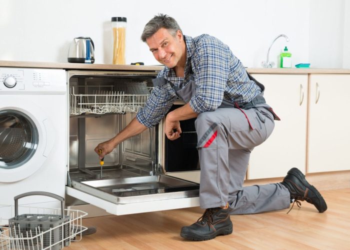 remont-posydomoiki (2)